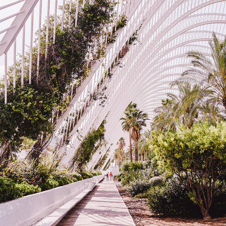 valencia-ciudad-de-las-artes-y-las-ciencias.