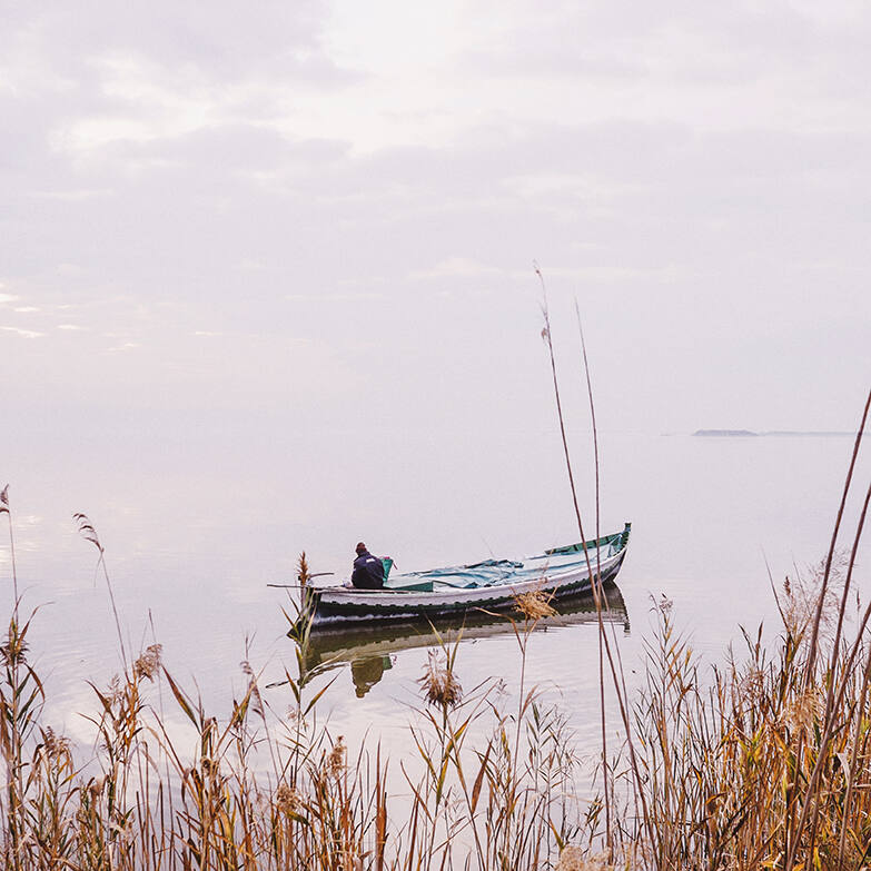 La Albufera