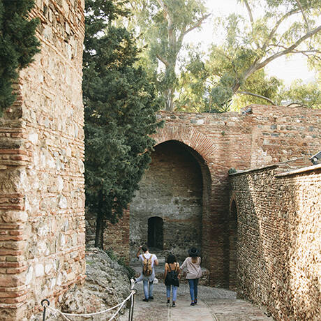  cultura-malaga.