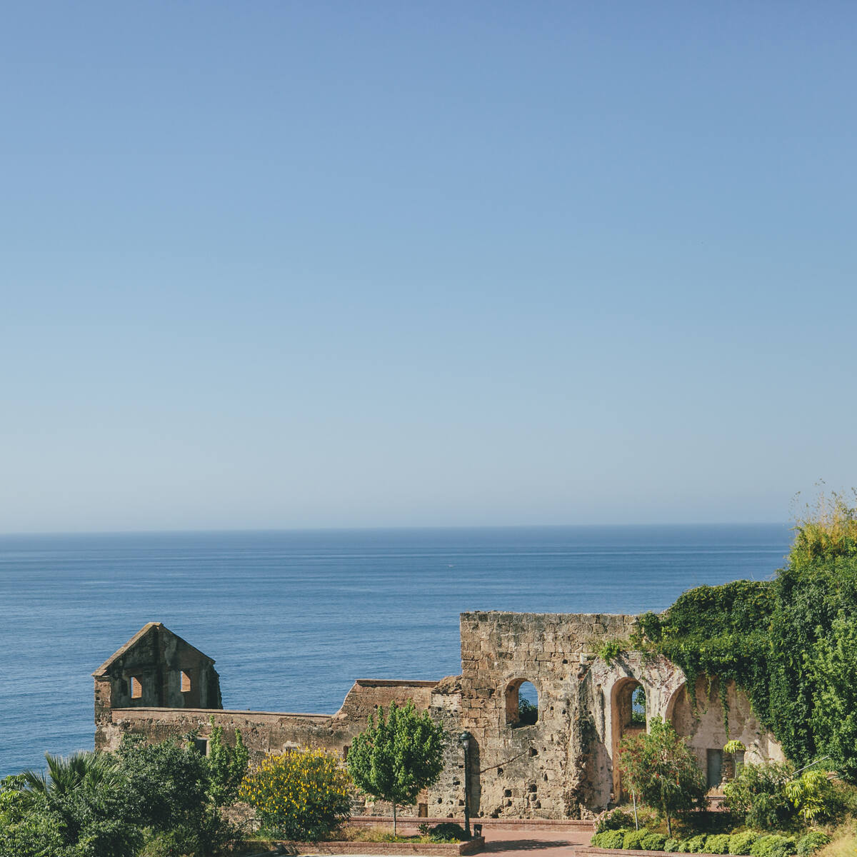 maro-nerja-mediterraneo.