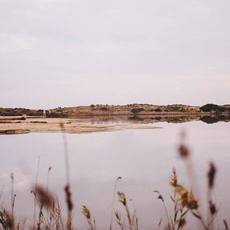 La Albufera