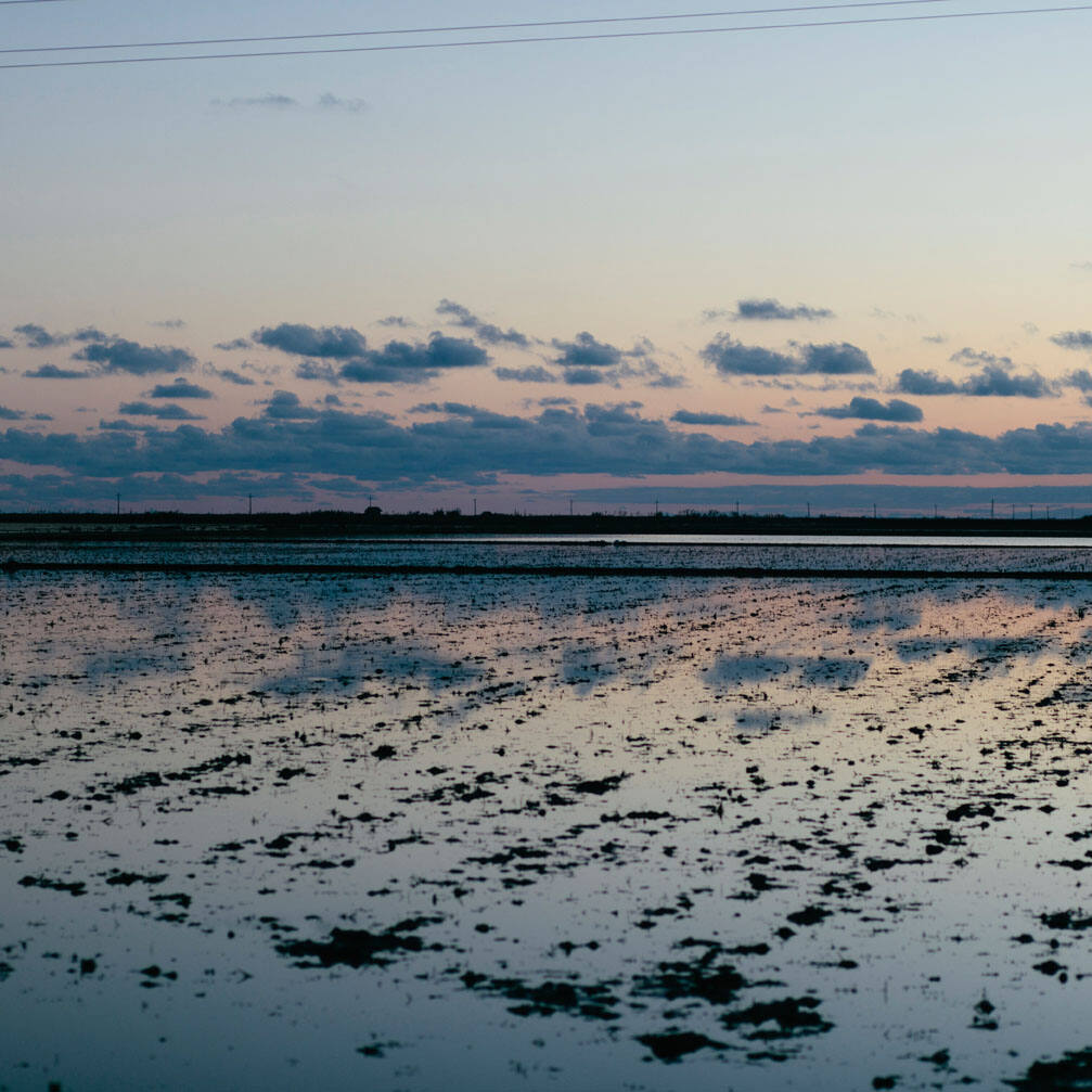 ebre-platja-trabucador-delta-tarragona