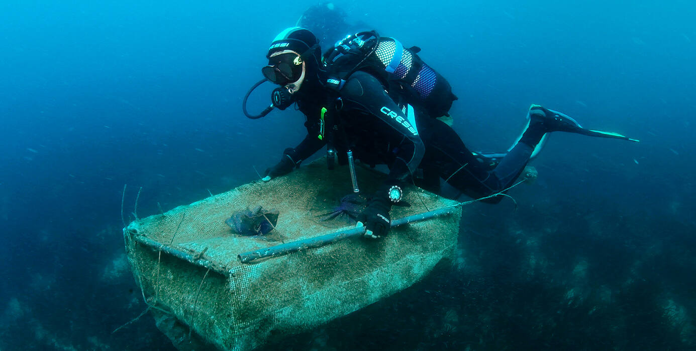 Submarinista transportando una caja de nacras