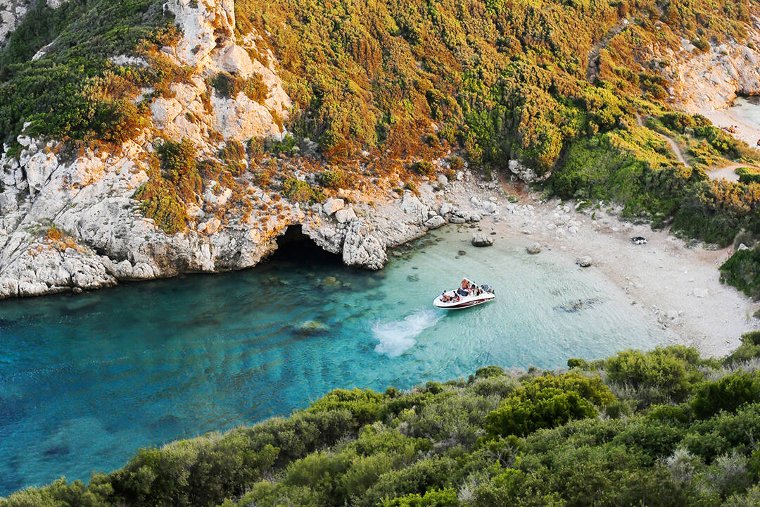 porto timoni